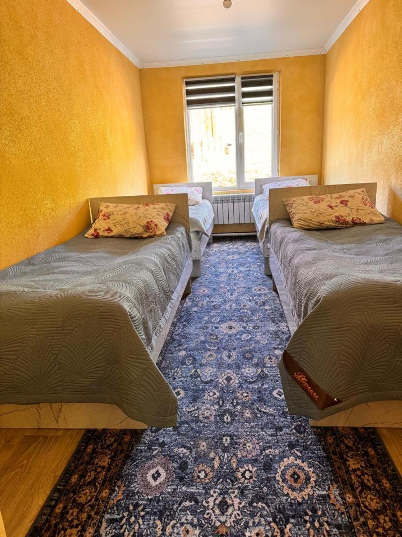 Ala-Kul Guesthouse In Altyn-Arashan Karakol Exteriör bild