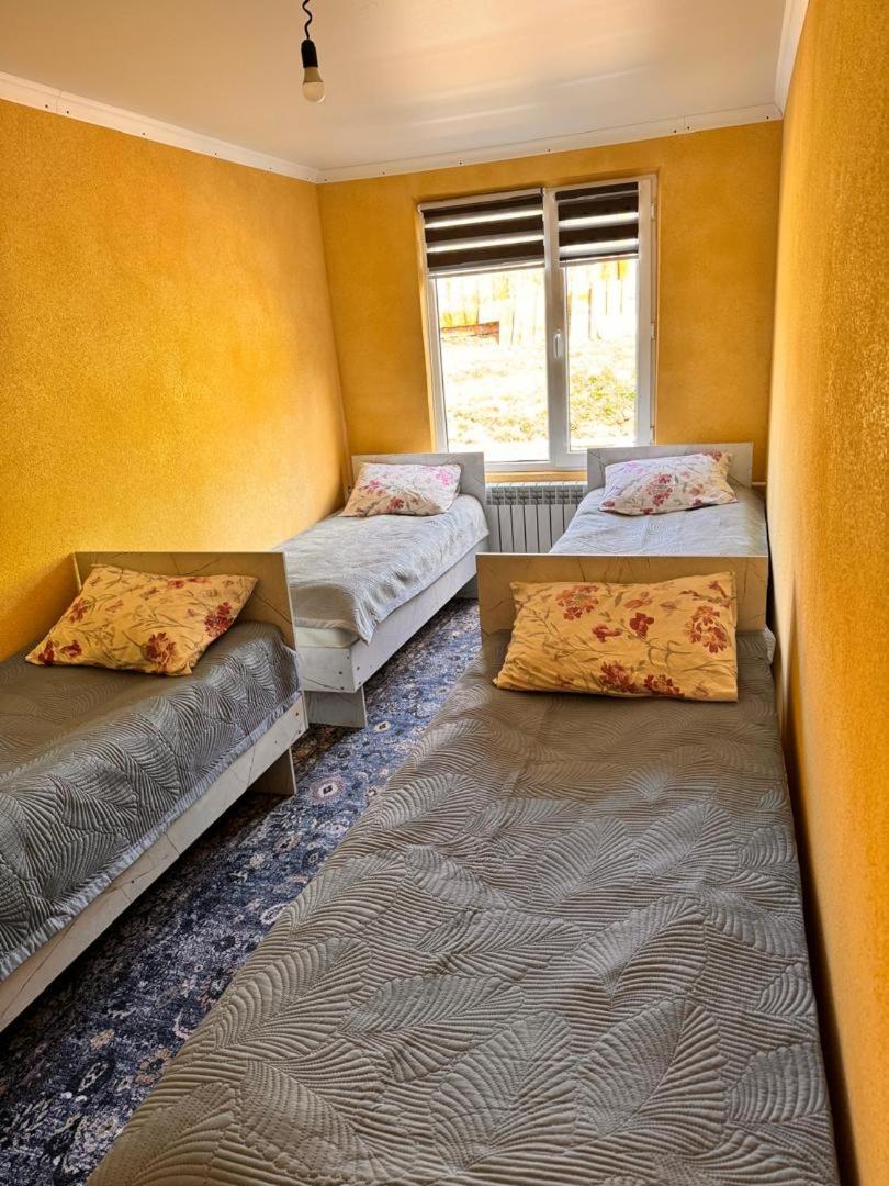 Ala-Kul Guesthouse In Altyn-Arashan Karakol Exteriör bild