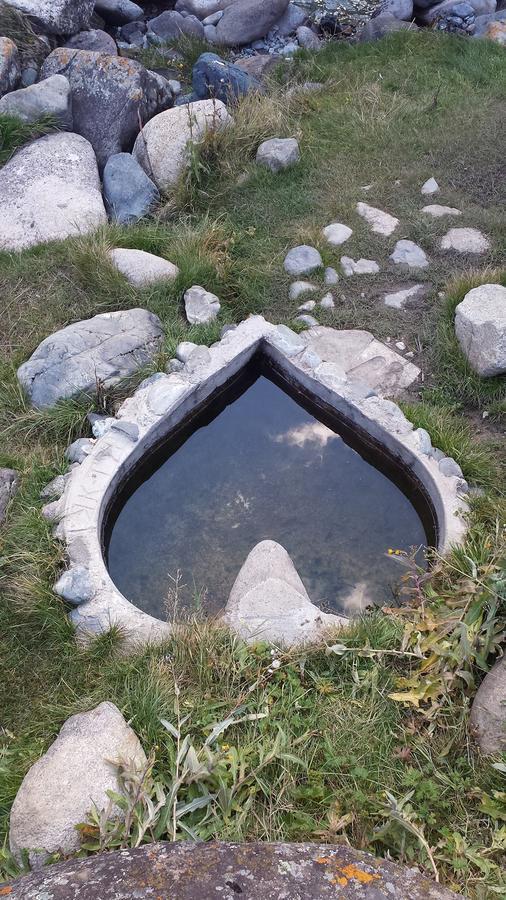 Ala-Kul Guesthouse In Altyn-Arashan Karakol Exteriör bild
